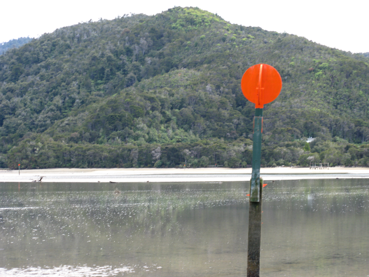 torrent bay