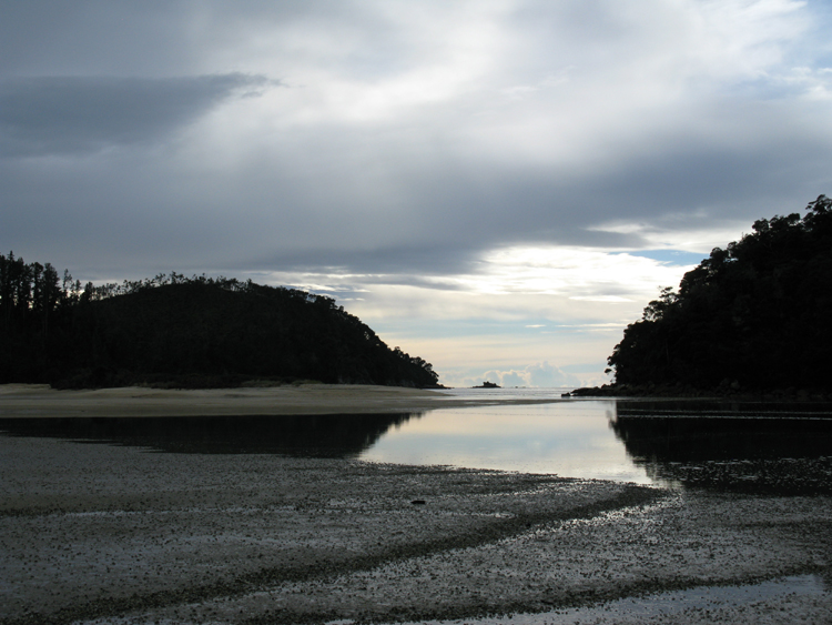 torrent bay