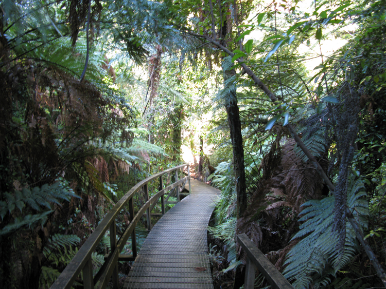 Boardwalk Trail