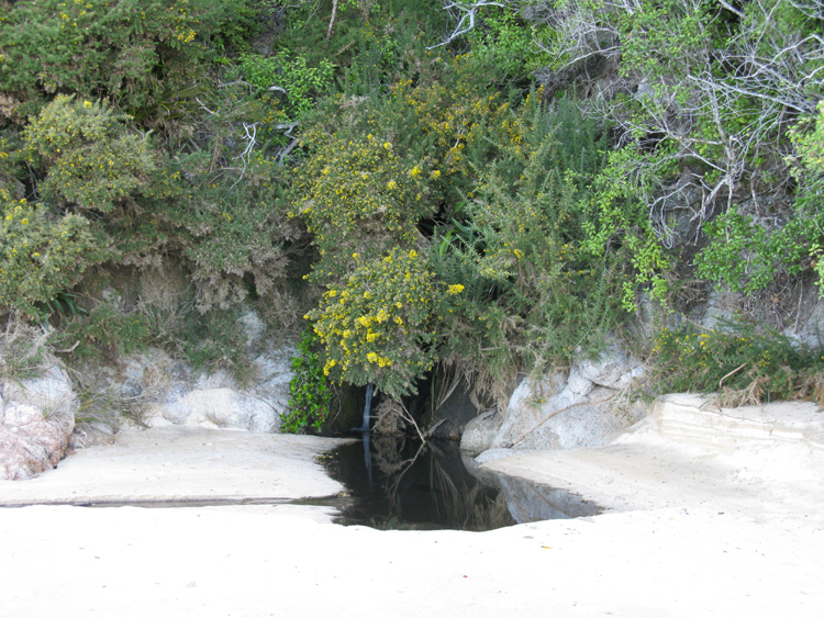 Goat Bay Creek